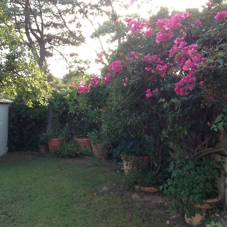 Deliziosa Villa 150 Metri Dal Mare Quartu Sant'Elena Bagian luar foto