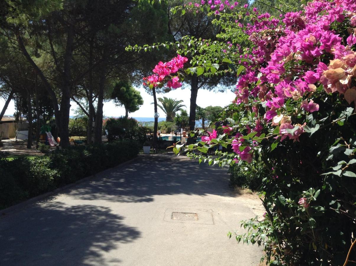 Deliziosa Villa 150 Metri Dal Mare Quartu Sant'Elena Bagian luar foto